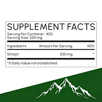 WELLBODY Supplément en vrac Pur Naturel Extrait de Shilajit Noir de l'Himalaya en Poudre Champignon Vente en Gros Poudre de Shilajit Naturel