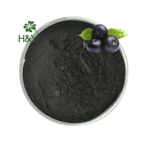 Health way Supply Acai Berry Extrakt von höchster Qualität 25% Anthocyane Pulver - Product Image 2