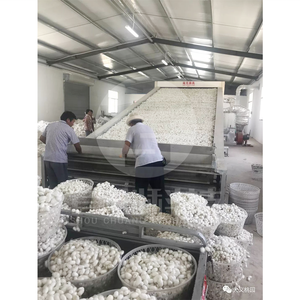 Essiccatore Industriale di Alta Qualità per Bozzoli di Baco da Seta - Product Image 4