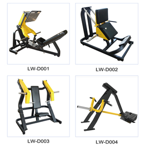 [Qualité commerciale] Équipement de fitness professionnel en acier pour salle de sport, usage en club de gym LW-D010 - Product Image 2