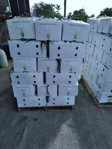 Boîte en plastique Sweet Corns - Product Image 2