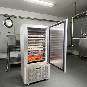 -45 ° <span class=keywords><strong>ตู้</strong></span><span class=keywords><strong>แช่</strong></span>แข็งแบบเร่งด่วน C Blast ขนาด 5-15 ถาด คอมเพรสเซอร์ซันโย สำหรับเนื้อสัตว์ อาหารทะเล และเบเกอรี่ - Product Image 3