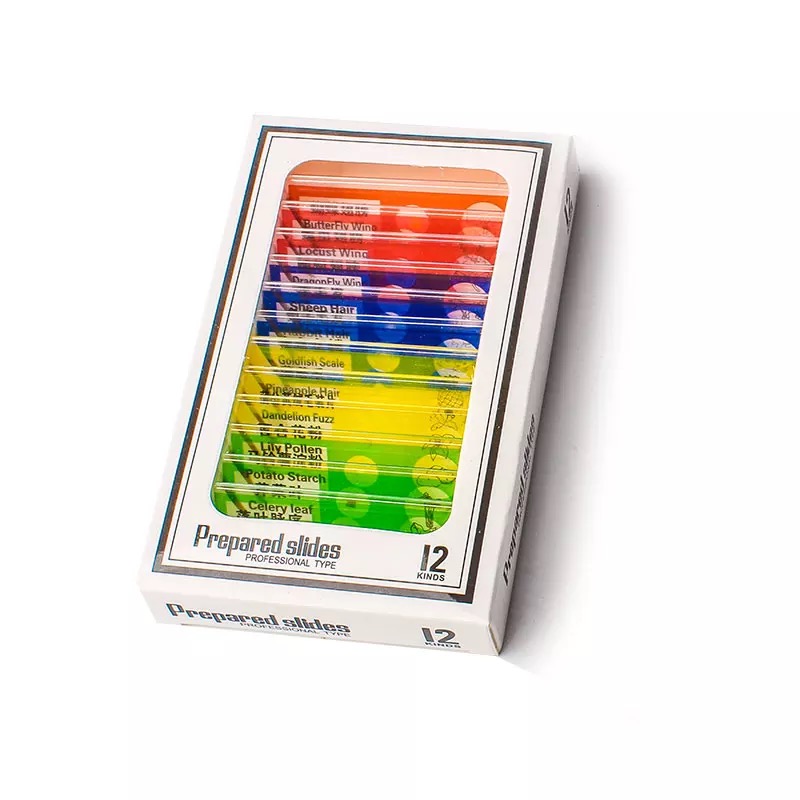 Histology 12pcs Plastic Biology Slides Set Colorful For Children Science Education