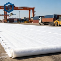 Toile paysagère non tissée aiguilletée anti-mauvaises herbes pour la construction routière au Chili