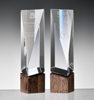 Trophée en cristal créatif avec base en bois, cadeau d'affaires, trophée en cristal vierge, gravure laser personnalisée
