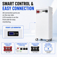 Paket Baterai LiFePO4 Lithium Iron Phosphate 25.6V 51.2V 200Ah 300Ah 314Ah 400Ah untuk Sistem Penyimpanan Energi dengan Daya Tahan Siklus Tinggi