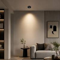 Lampe LED encastrée pour armoire 1W OEM/ODM CRI90 USA Aluminium Noir Découpe 30mm 25mm pour Maison Hôtel