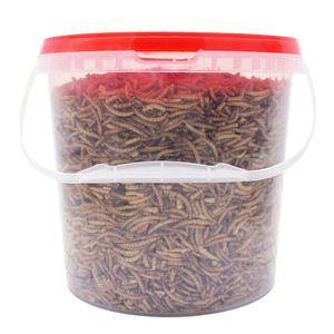 Yüksek Protein Mealworms vahşi kuş, tavuk, ördek, balık, sürüngen, kaplumbağa, amfibi, kertenkele - Product Image 6