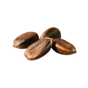 Capsules de Guarana à Marque Privée OEM/ODM – Boost d'Énergie Naturel – Extrait de Guarana pour Améliorer les Performances Corporelles - Product Image 2