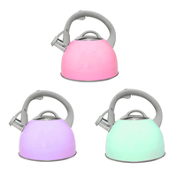 Bouilloire sifflante en acier inoxydable 3L personnalisée, compatible induction, design minimaliste écologique, pour la maison, les voyages et le camping