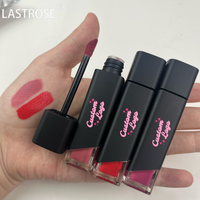 Gloss à lèvres liquide mat pigmenté waterproof, effet brillant, vegan, transparent, nude rose, marque privée, luxe