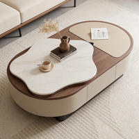 Table basse en pierre frittée de style italien, luxe léger, pour salon, usage domestique, petite table de rangement créative de style français pour café et thé