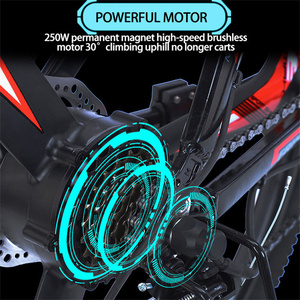 Bicicleta Eléctrica Todoterreno para Adultos, Venta al Por Mayor de Fábrica, 26*4.0, 750W 1000W, Gran Potencia, 48v, Neumáticos Anchos, Modelo T88E5 - Product Image 4