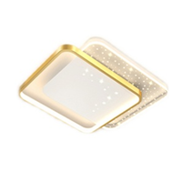 Plafonnier LED moderne avec couvercle en acrylique et structure en fer pour chambre à coucher, salon, couloir, balcon et bureau