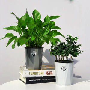 Maceta <span class=keywords><strong>de</strong></span> riego automático, maceta bonita para plantas, decoración del hogar - Product Image 3