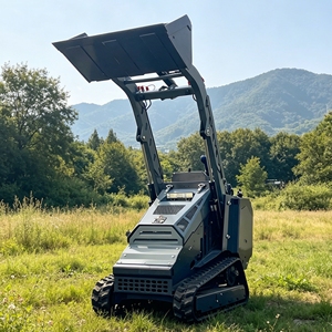 Mini Skid Steer <b>Engine</b> Load 550 kg Tracked Compact <b>Stand</b>-on 2 Years Warranty Minicargadora - Product Image 4