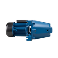 Pompe à eau électrique de surface domestique 1,1 kW 1,5 CV, pompe à jet d'irrigation pour eau propre