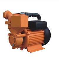 Pompe à eau périphérique intelligente RUIQI Factory DCHZ370 0.5hp/1hp 370W avec pressostat et débitmètre automatique