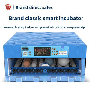 Warme Kubus Volautomatische Intelligente Kleine Incubator Hoog Plastic Voor Kippeneend Ganzenduif Ei Incubatie Huishoudelijk Gebruik - Product Image 6