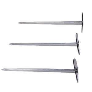 Bon prix sur les clous droits communs <span class=keywords><strong>pour</strong></span> l'installation de <span class=keywords><strong>gazon</strong></span> artificiel Accessoires <span class=keywords><strong>pour</strong></span> <span class=keywords><strong>gazon</strong></span> <span class=keywords><strong>synthétique</strong></span> - Product Image 3