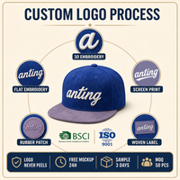 Casquette de baseball personnalisée en daim à visière plate, 6 panneaux, snapback brodé, bicolore bleu, réglable, pour le sport, vente en gros, OEM, faible MOQ