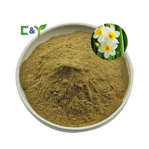 Produsen Menjual Powder Daffodil Ekstrak Narcissus Tazetta Bulb Ekstrak Bubuk