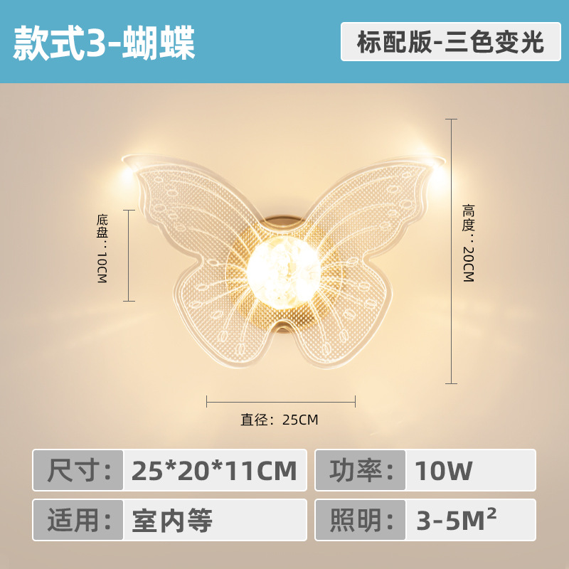 Butterfly b