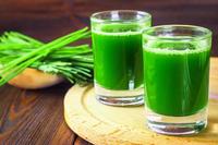 Poudre d'herbe de blé de qualité alimentaire extraite de germes de blé frais Superfood 1kg Commande minimum d'extrait de plantes pures