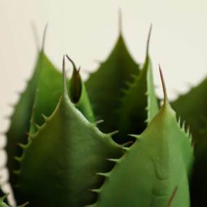 Accesorios de Decoración para el Hogar, Planta Artificial de Agave Verde, Árbol Artificial de Maguey, Planta Ornamental, Flores y Plantas Decorativas de Agave Artificial - Product Image 2