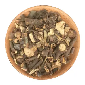 Wholesale Sang Ji Sheng Bulk Dried Parasitic Loranthus Chinese Taxillus Herb