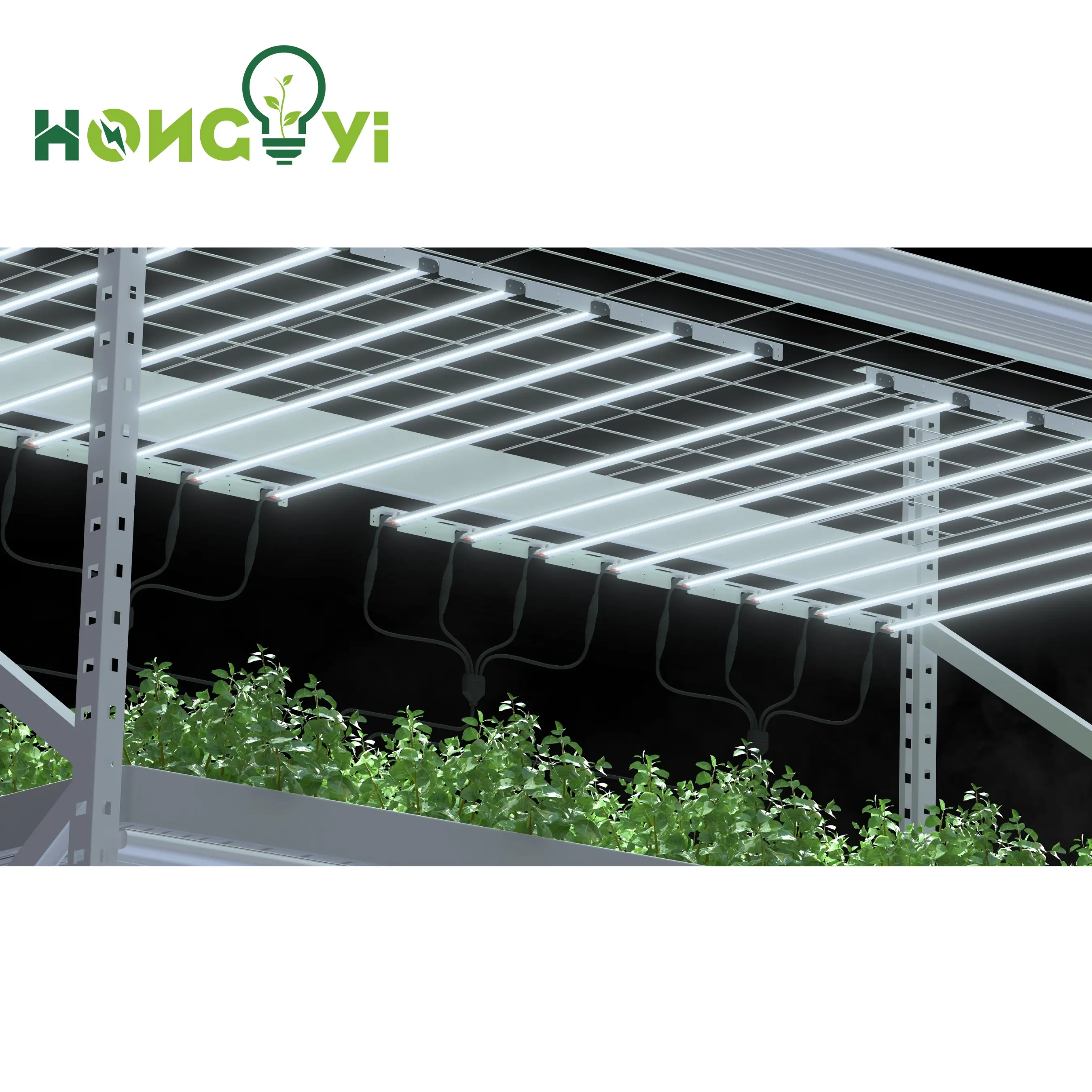 Hongyi 6500K Ontworpen Voor Voortplanting + Vegetatieve Clone Led Licht Groeien