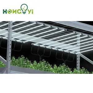 HONGYI 6500K 번식 + 식물 복제 LED 빛을 위해 설계
