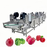 Automatische fruit- en groenteverwerkingsapparatuur, was- en blaasdroging, PLC-besturing, elektrische/gasverwarming, SUS304 materiaal