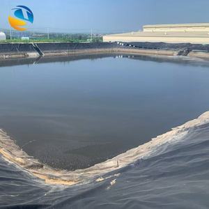 Bâche en géomembrane HDPE <span class=keywords><strong>pour</strong></span> <span class=keywords><strong>bassin</strong></span> à poissons, décharge sanitaire, réservoir d'eau incendie, <span class=keywords><strong>bassin</strong></span> d'urgence, rétention des eaux pluviales - Écologique - Product Image 5