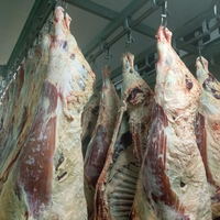 Système de rail de convoyage professionnel en acier inoxydable pour la viande, chambre froide, abattoir, stockage, outils de traitement des carcasses