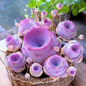 ต้นกุหลาบภูเขา ปลูกได้ทุกฤดู ง่ายต่อการปลูก ตกแต่งสวนดอกไม้ - Product Image 3