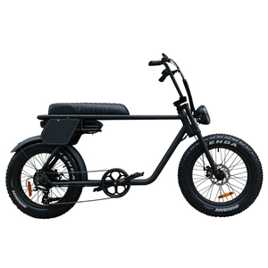 Bicicleta Eléctrica con Neumáticos Gruesos y Frenos de Disco Hidráulicos de 250w para Pasajeros - Product Image 6