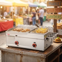 Gril à gaz GPL/GNL en acier inoxydable à double zone de contrôle, économie d'énergie, avec plaque de cuisson commerciale, friteuse à steak et machine à nouilles froides