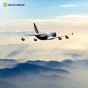 Expédition gratuite d'articles Logistique internationale Tarifs des agents de transport Service Ddp Ddu vers États-Unis <span class=keywords><strong>Canada</strong></span> Transporteur de fret aérien - Product Image 3