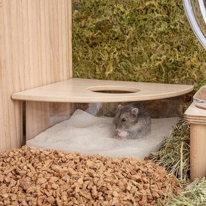 Boîte de bain de <span class=keywords><strong>sable</strong></span> en acrylique pour petits animaux de compagnie-Conteneur de creusement en forme de triangle pour hamsters, gerbilles, souris et lemmings - Product Image 2