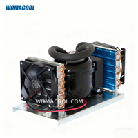 Unité de condensation micro-CC DC12V-24V, petite unité de congélation ZH35G, unité de réfrigération refroidie par air pour congélateur portable, réfrigérateur de camping-car