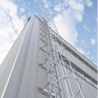 Échelle verticale galvanisée avec cage de sécurité, échelle en cage, directement de l'usine