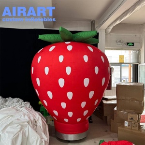 Modelo de Arándano Inflable Grande a Medida, Globo de Fruta de Arándano Inflable - Product Image 6