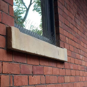 Precio bajo, techo de ventana profesional, barrera de pájaros Flexible física, acero inoxidable, sin <span class=keywords><strong>matar</strong></span> palomas, picos duraderos para pájaros - Product Image 2