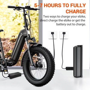 Vélo de livraison de nourriture Saibaike 750W à <span class=keywords><strong>2</strong></span> roues avec pneus larges, vitesse de 25 km/h, vélo <span class=keywords><strong>cargo</strong></span> familial, deux sièges pour enfants, vélos <span class=keywords><strong>cargo</strong></span> électriques - Product Image 6