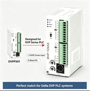 ของแท้เดลต้า DVPPS01 24VDC 1A PLC โมดูลจ่ายไฟแบบติดตั้งบนราง DIN สำหรับระบบ PLC ซีรีส์ DVP - Product Image 2