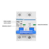 DZ47 NC 400V 2P 80A 100A 125A 10KA Tipo C Mini Disyuntor Ac MCB Protector de circuito de sobrecarga corta Montaje en riel Din de 35mm
