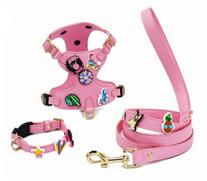 Set Harnesses & Tali Kekang Hewan Peliharaan Lucu Motif Kartun PU <span class=keywords><strong>DIY</strong></span>, Harnesses Vest Anjing yang Dapat Disesuaikan dan Bernapas untuk Anak Anjing, Kucing, dan Anjing, Set 3-Piece - Product Image 1