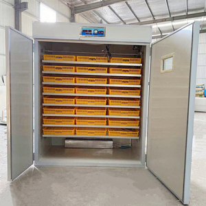 Incubateurs électriques entièrement automatiques pour l'éclosion des œufs, plateaux d'incubation pour œufs de caille et de poulet - Product Image 6