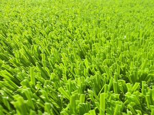 <span class=keywords><strong>Gazon</strong></span> artificiel à faible entretien sans remplissage pour terrains de football scolaires et communautaires |   <span class=keywords><strong>Gazon</strong></span> synthétique de performance sans remplissage en caoutchouc - Product Image 1